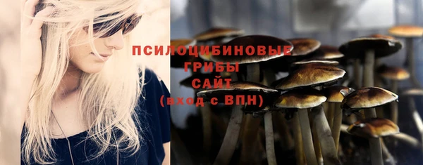 тгк Богородицк