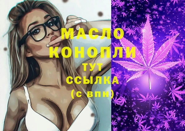 ECSTASY Няндома