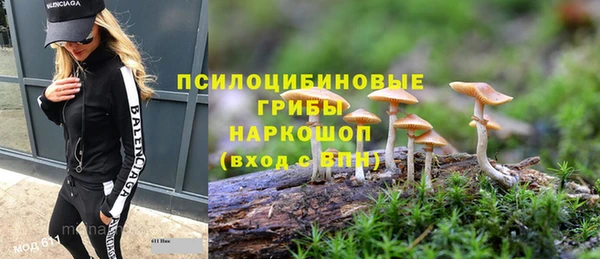 тгк Богородицк