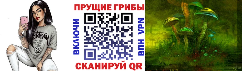 Псилоцибиновые грибы прущие грибы  кракен сайт  Невельск 